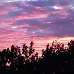 3d动漫精品一区视频在线观看
